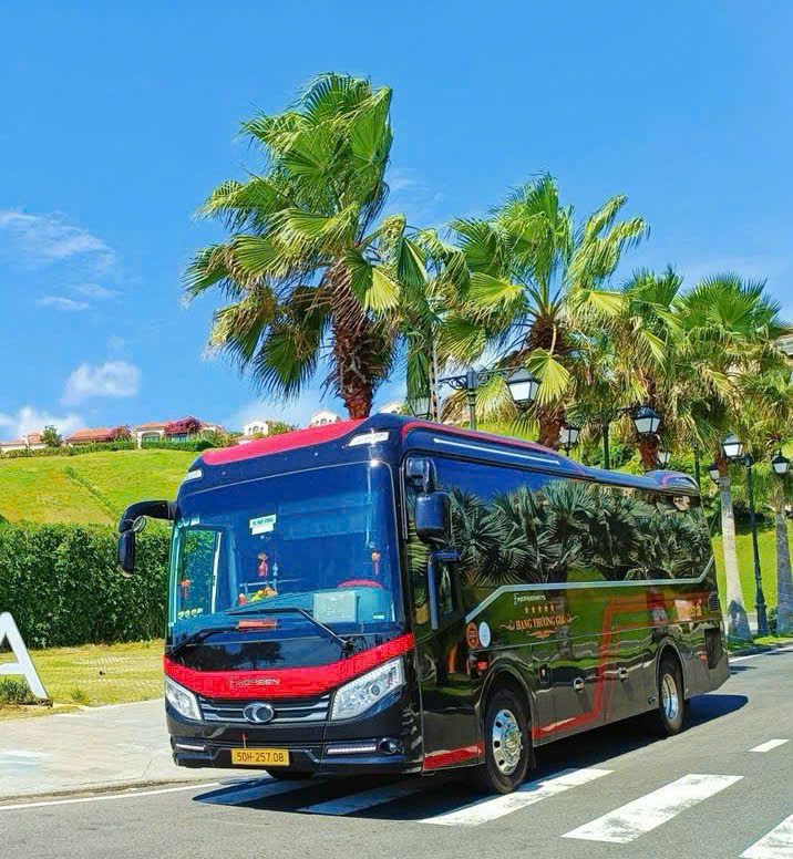 limousine-19 chỗ (2)